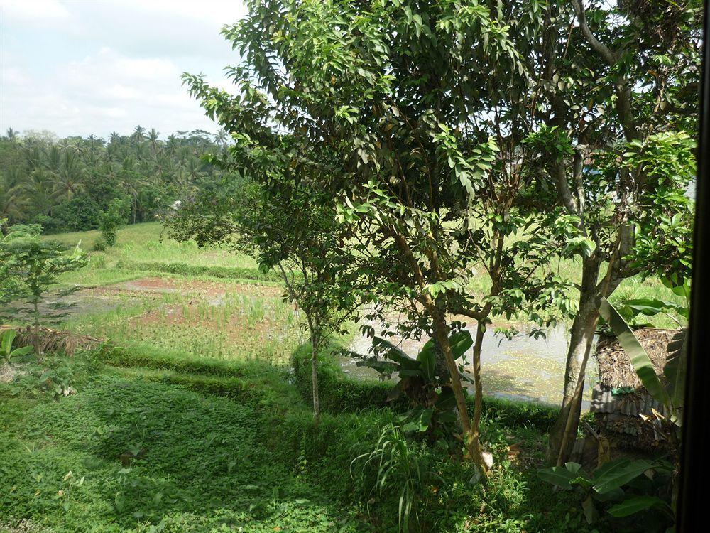 Kudos Guesthouse Ubud Ngoại thất bức ảnh