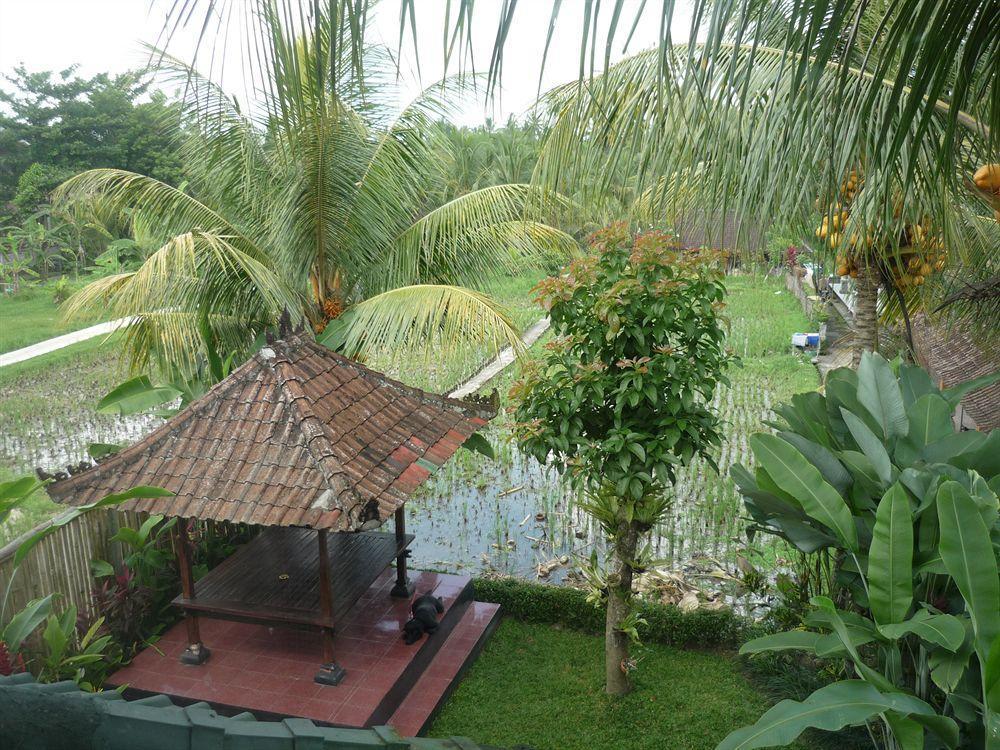Kudos Guesthouse Ubud Ngoại thất bức ảnh