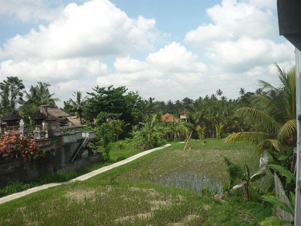 Kudos Guesthouse Ubud Ngoại thất bức ảnh